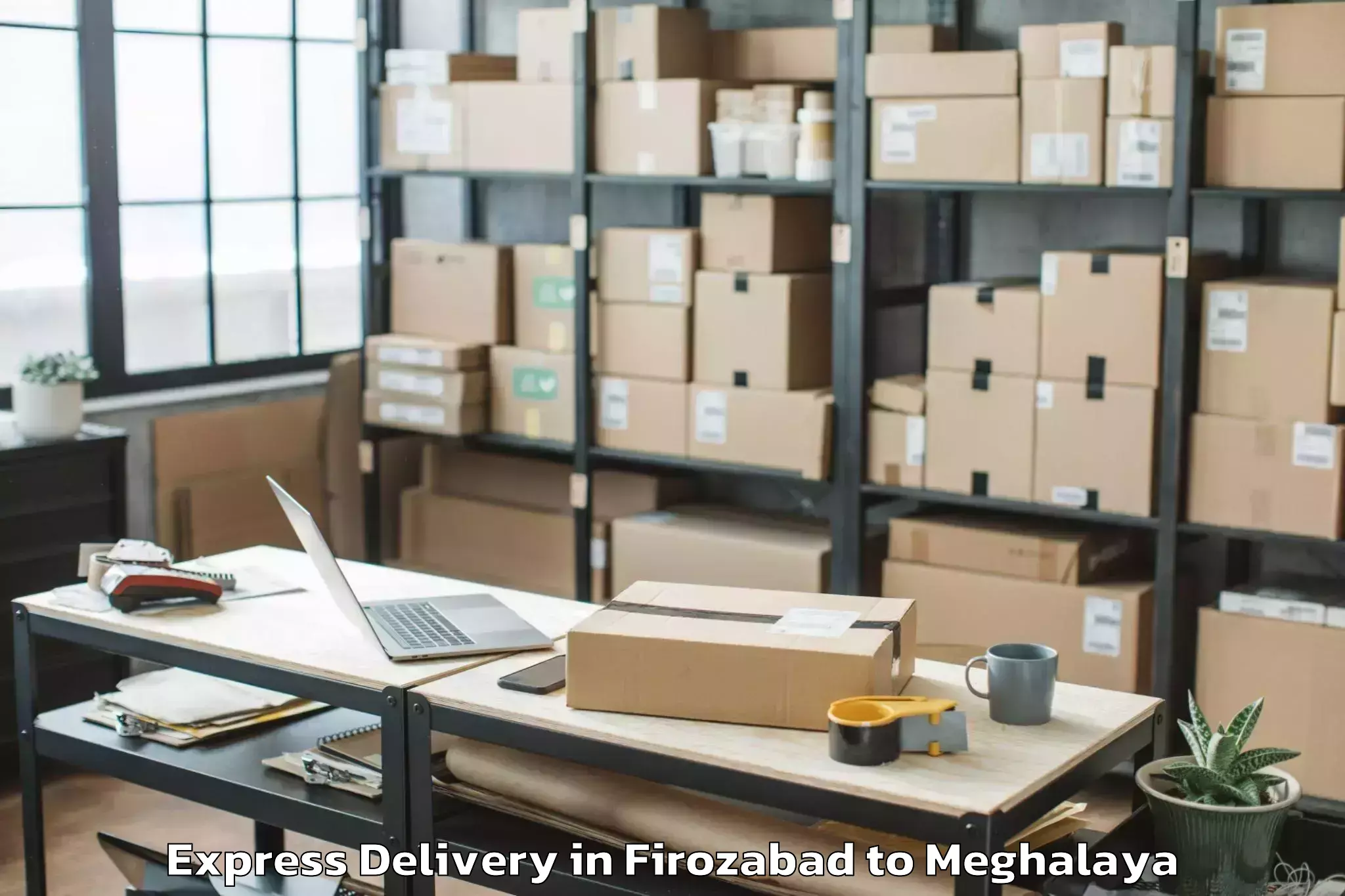 Hassle-Free Firozabad to Mylliem Express Delivery